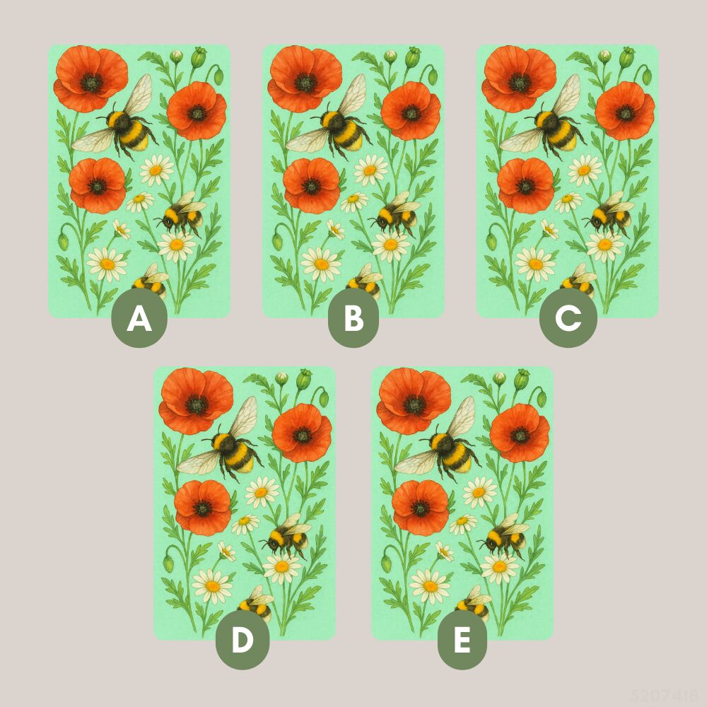 Week Ahead Tarot 2 to 8 Mar: Love Work and Energy