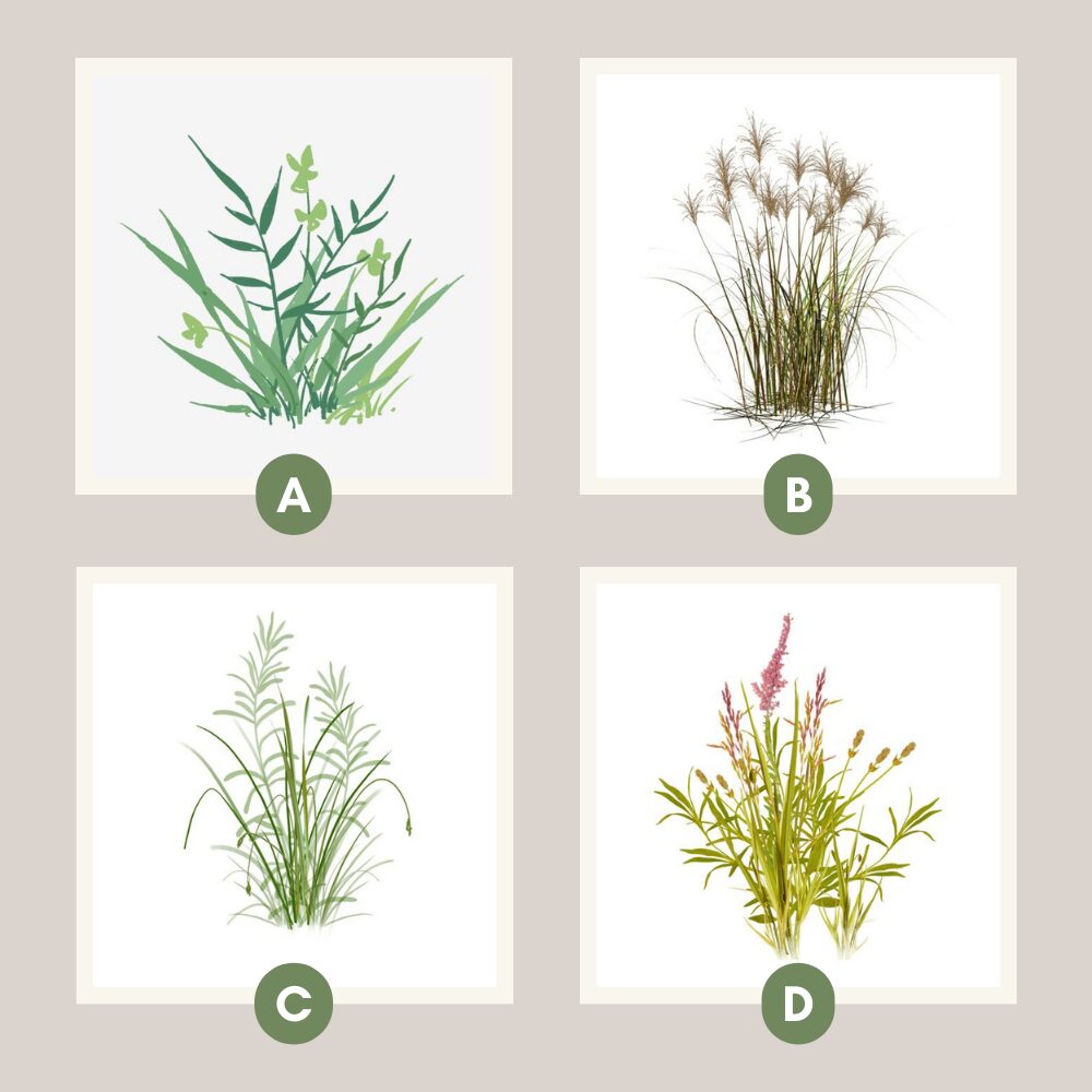 What energy should I keep out of my space?